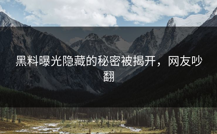 黑料曝光隐藏的秘密被揭开，网友吵翻