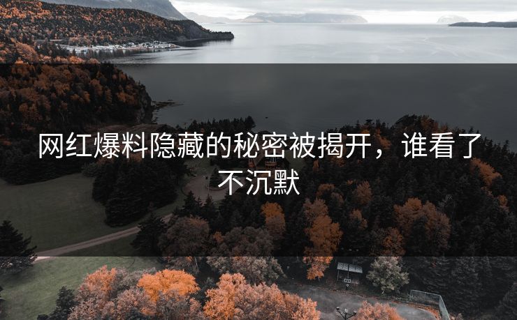 网红爆料隐藏的秘密被揭开，谁看了不沉默