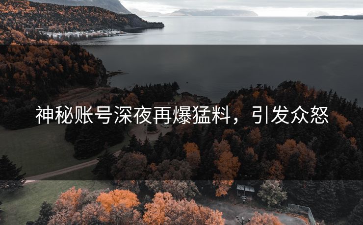 神秘账号深夜再爆猛料，引发众怒