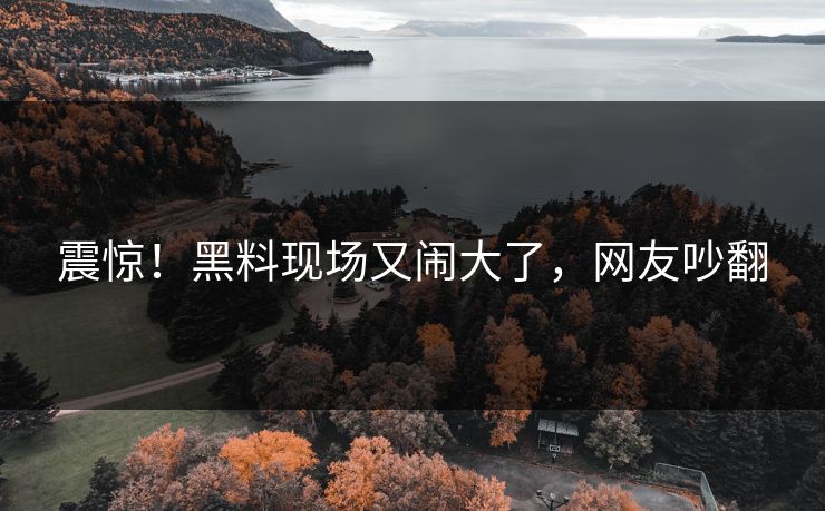 震惊！黑料现场又闹大了，网友吵翻