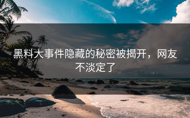 黑料大事件隐藏的秘密被揭开，网友不淡定了