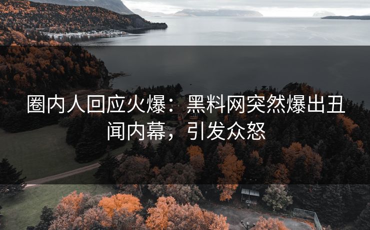 圈内人回应火爆：黑料网突然爆出丑闻内幕，引发众怒