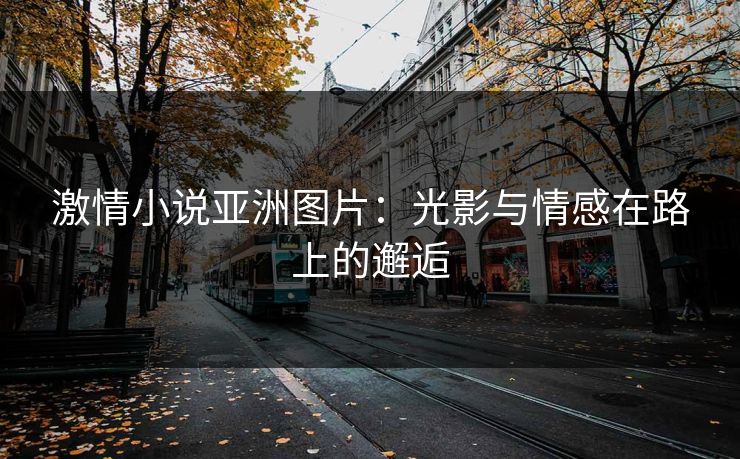 激情小说亚洲图片:光影与情感在路上的邂逅