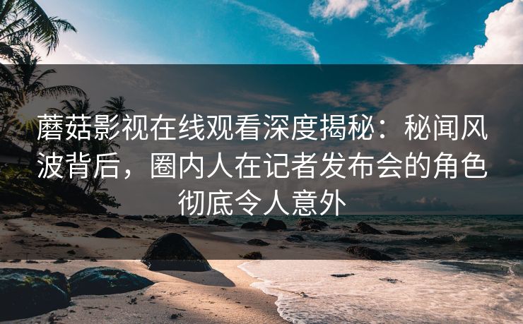 蘑菇影视在线观看深度揭秘：秘闻风波背后，圈内人在记者发布会的角色彻底令人意外