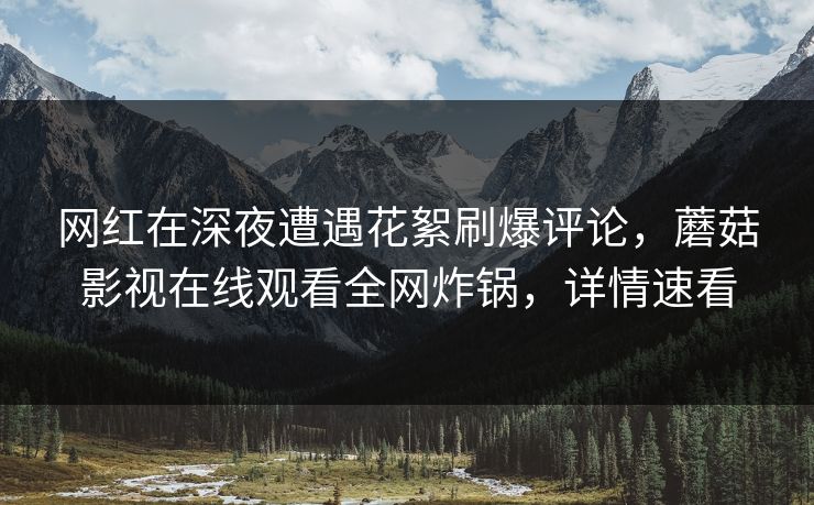 网红在深夜遭遇花絮刷爆评论，蘑菇影视在线观看全网炸锅，详情速看
