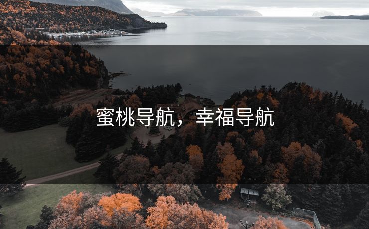 蜜桃导航，幸福导航