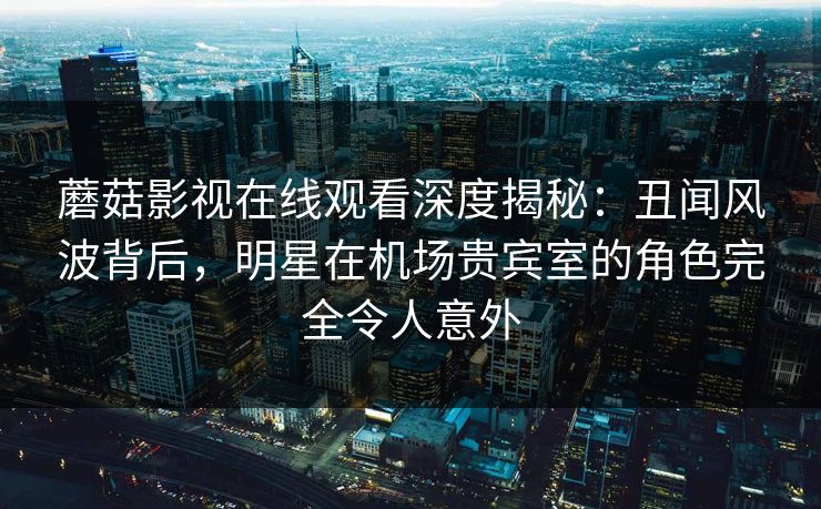 蘑菇影视在线观看深度揭秘：丑闻风波背后，明星在机场贵宾室的角色完全令人意外