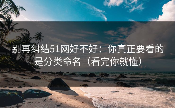 别再纠结51网好不好：你真正要看的是分类命名（看完你就懂）